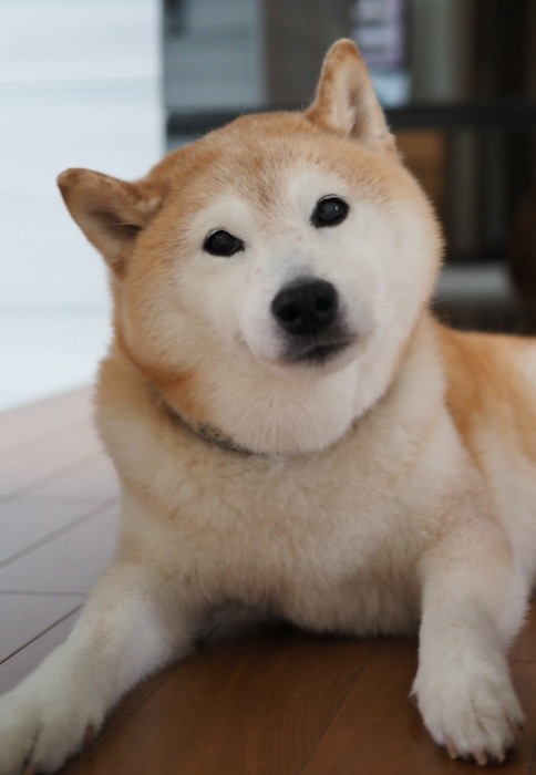 22日午前ブログ３