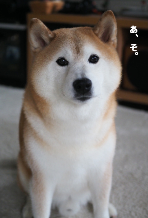 25日夕ブログ７