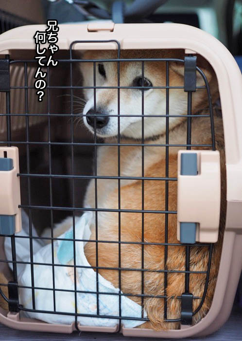 25日ブログ５