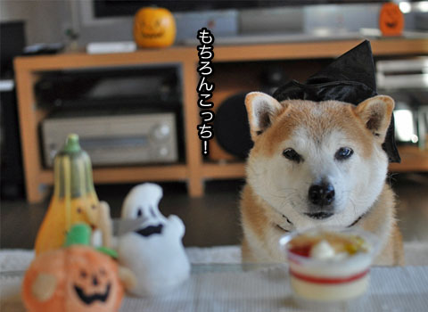31日ブログ8.jpg