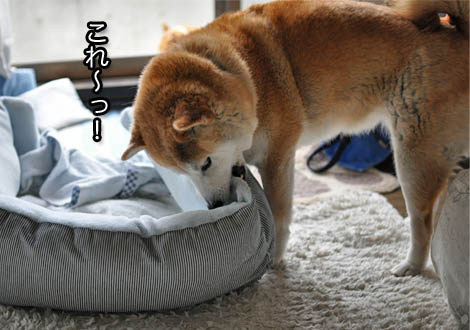 21日ブログ4.jpg