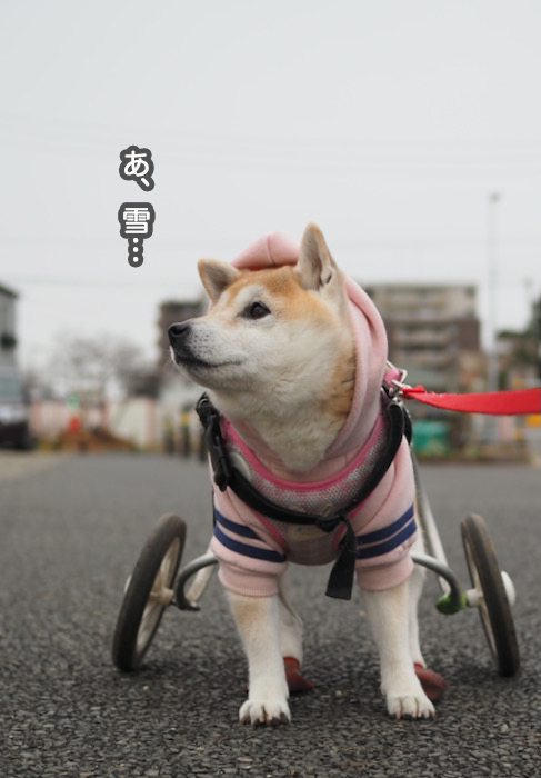 6日ブログ６