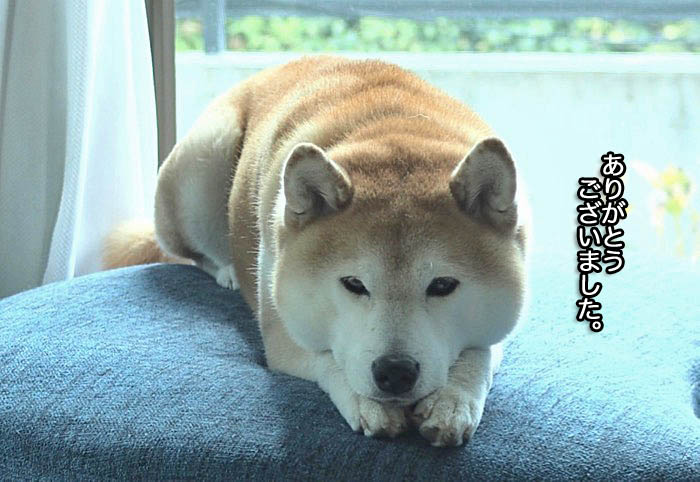 21日午後ブログ１１