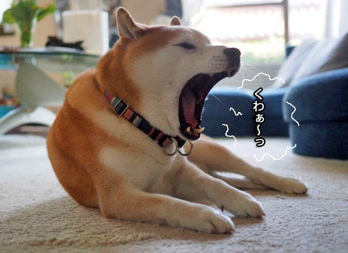 15日ブログ１