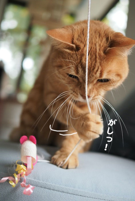 21日夕ブログ2