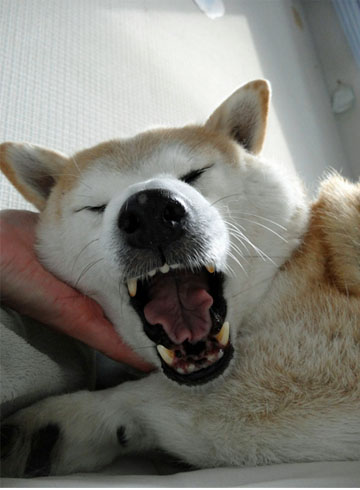 30日ブログ4.jpg
