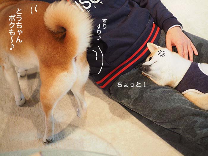 29日ブログ８