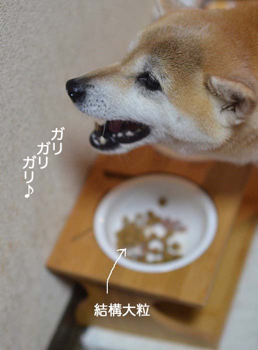 17日ブログ３