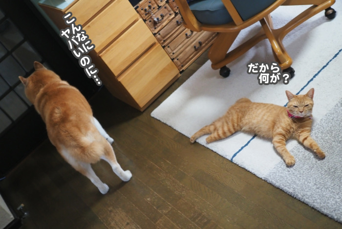 18日ブログ５