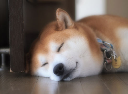 30日ブログ10.jpg