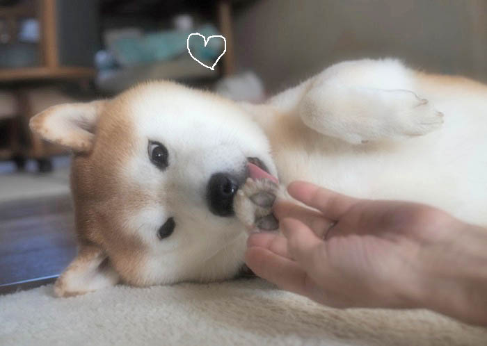 15日ブログ４