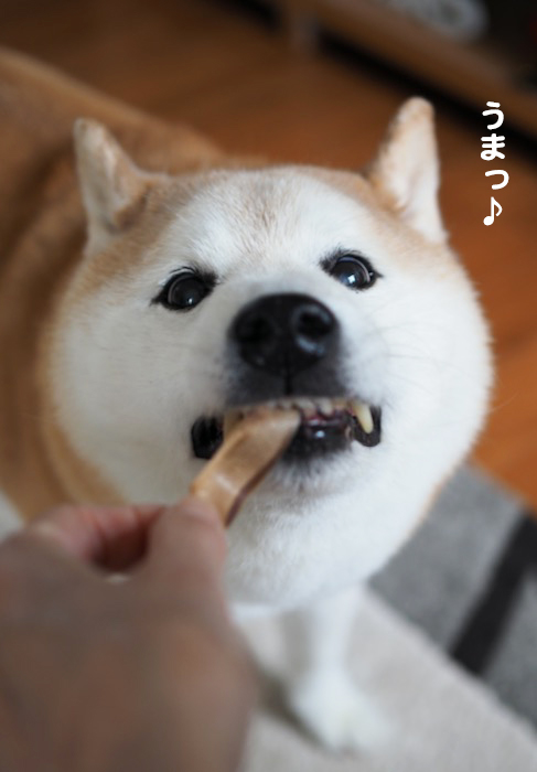 8日夕ブログ１３
