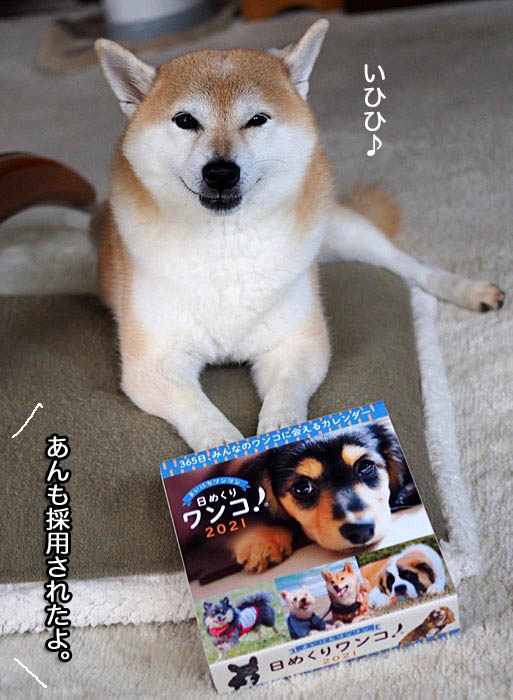 30日ブログ２