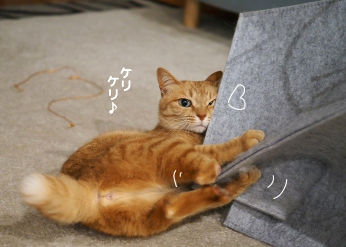 9日夕ブログ4