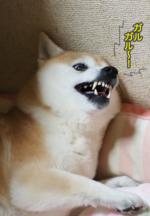 24日夜ブログ８