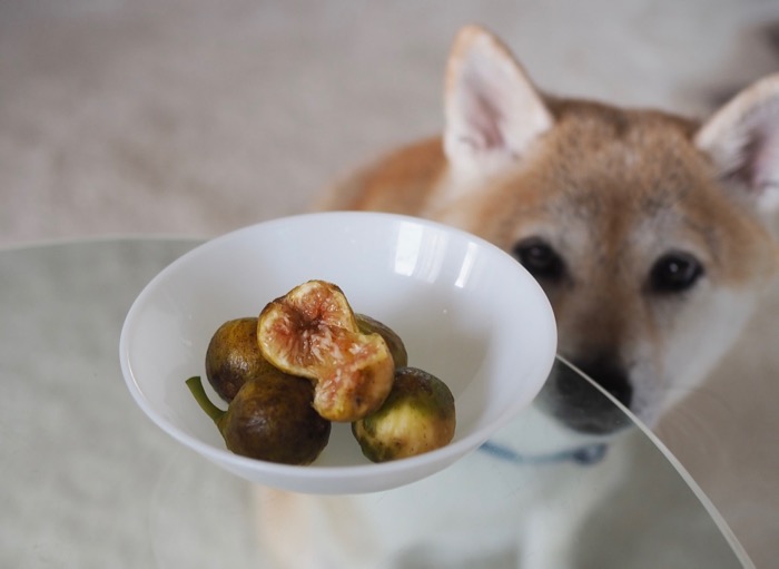 9日昼ブログ１０