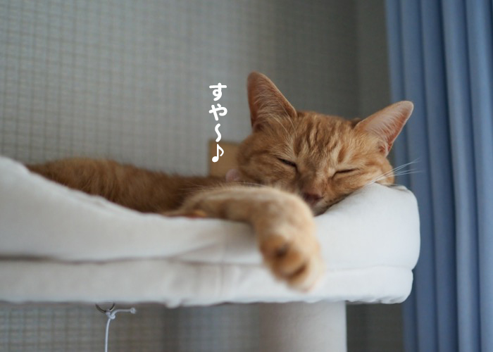 6日ブログ３