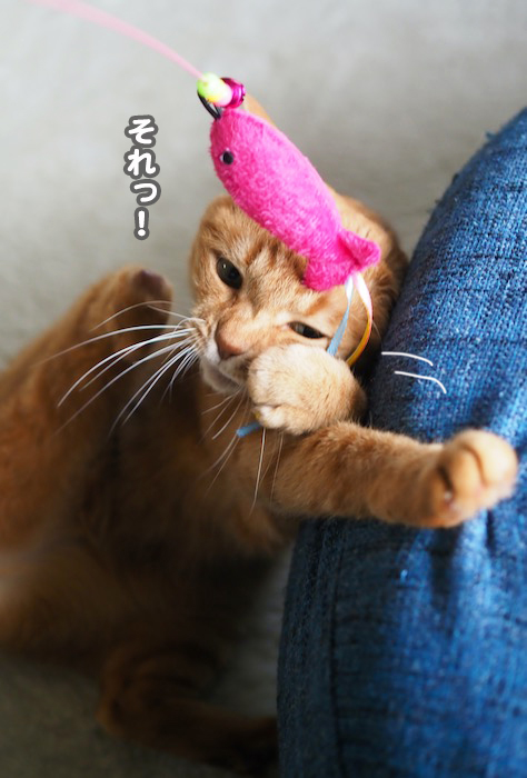 25日夕ブログ１４