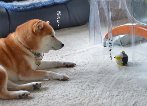 21日ブログ4.jpg