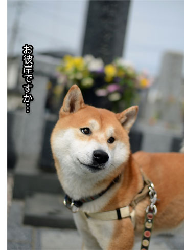 23日ブログ4.jpg