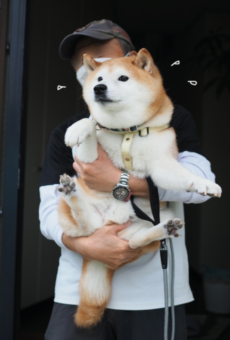 6日午前ブログ３