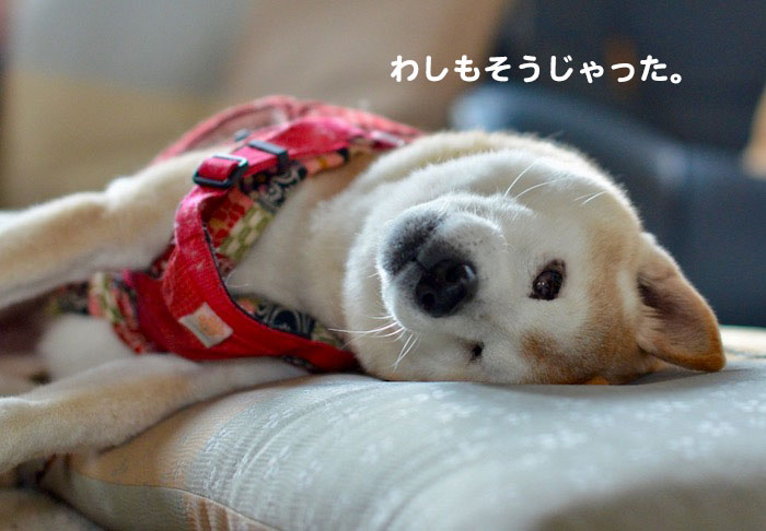 30日夕ブログ３