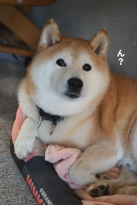 14日夕ブログ１