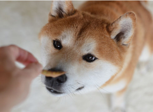 28日ブログ9.jpg