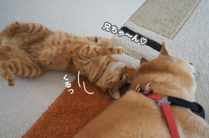6日ブログ４