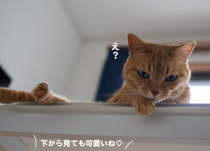 19日の夕ブログ３