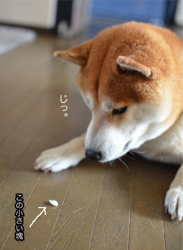 21日ブログ7.jpg