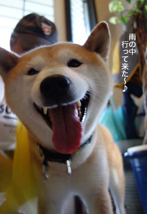 24日午後ブログ１０