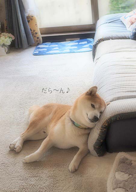 7日ブログ2