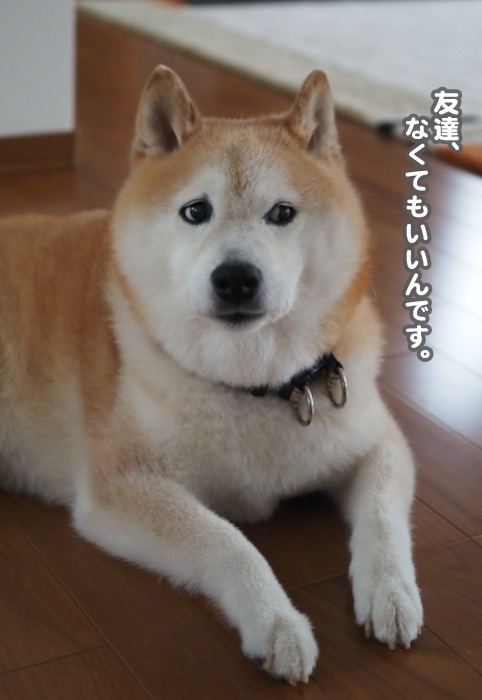 23日夕ブログ8