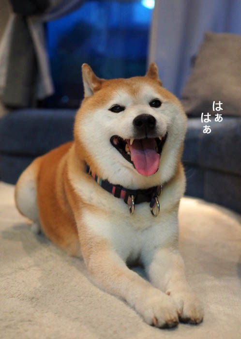 20日夜ブログ３