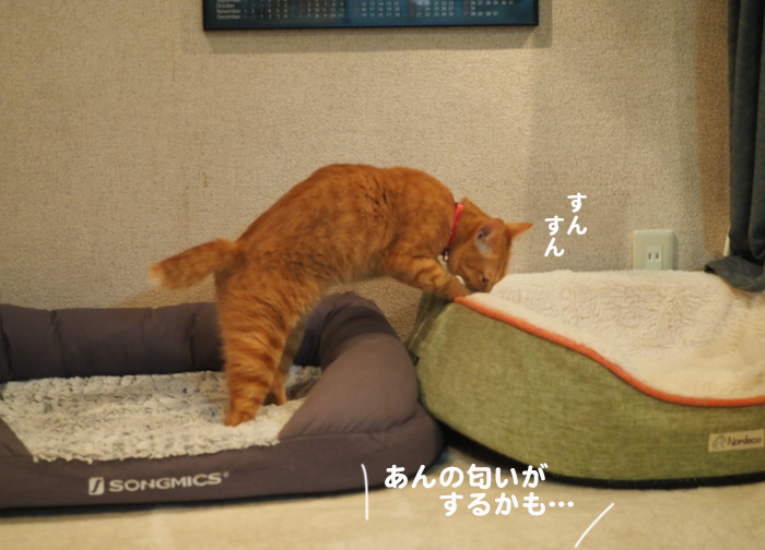 16日夕ブログ９