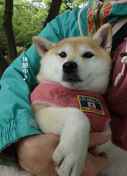 27日夜ブログ４