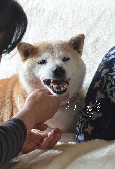 17日ブログ10