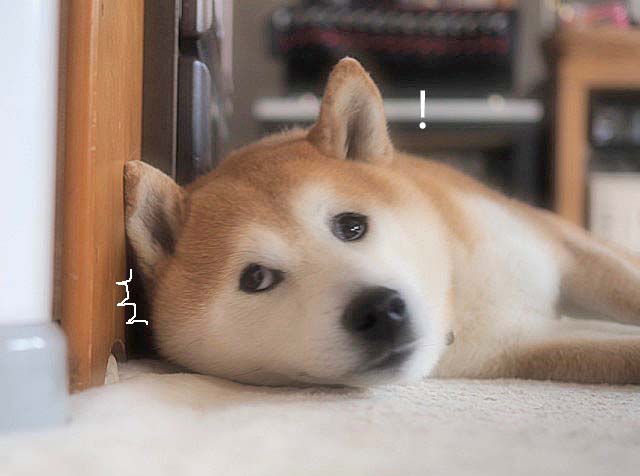 22日ブログ2