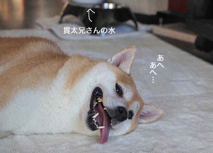 26日午前ブログ４