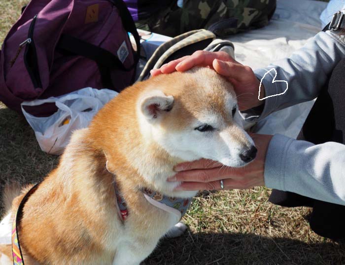8日ブログ５
