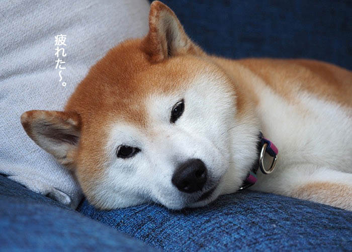27日ブログ5