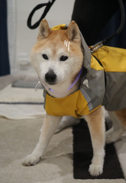 24日ブログ２