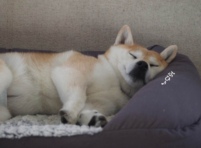 15日夜ブログ１