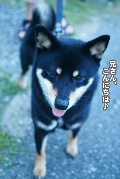12日ブログ２