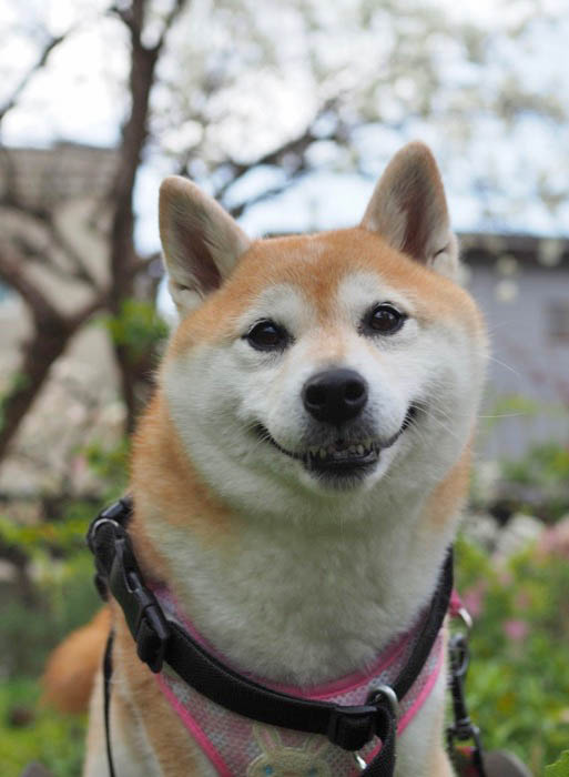 6日ブログ４