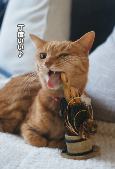 8日ブログ４