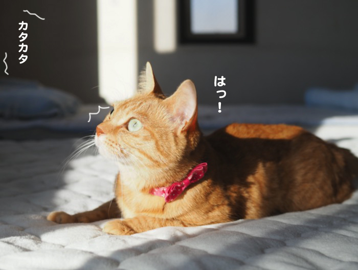 18日ブログ２
