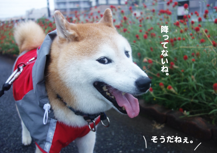 19日ブログ３