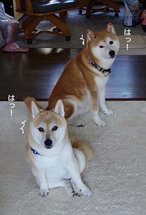 7日ブログ３